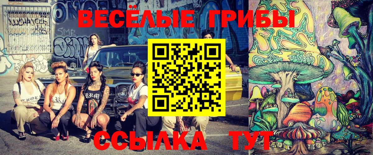 Дзержинский  Псилоцибиновые грибы Magic Shrooms  Вход с VPN 